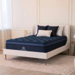 Signature Cloud Medium