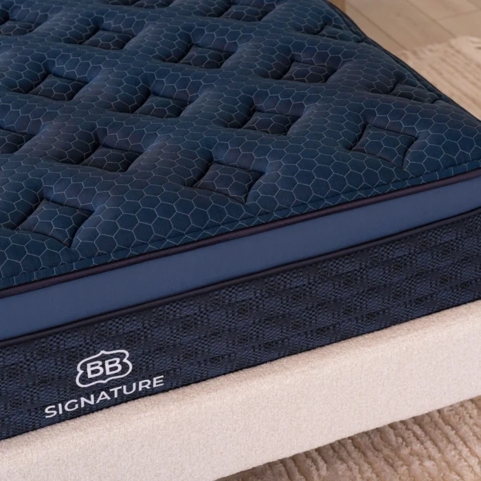 Signature Cloud Medium